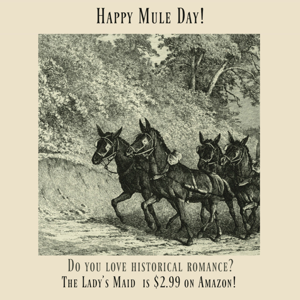 Mule Day