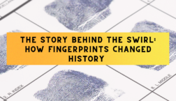 Fingerprint card background with multiple inked prints and overlay text reading “The Story Behind the Swirl: How Fingerprints Changed History” and susanpagedavis.com.